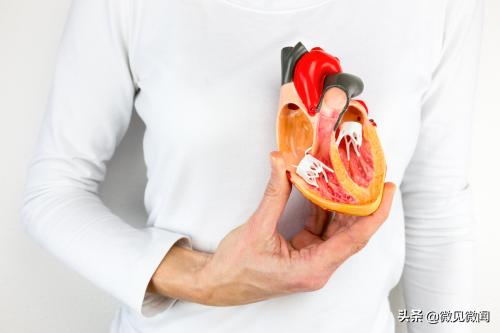 给父母买血压计买什么样的好,过年送礼送个血压仪合适吗