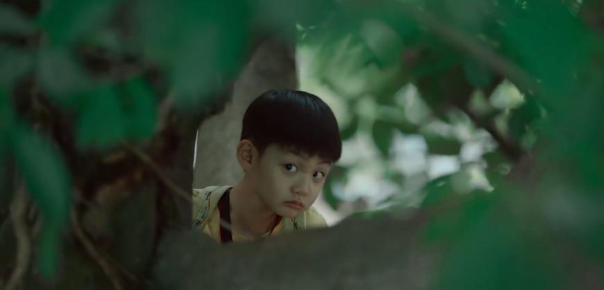 《我的姐姐》原型，姐姐独吞父母遗产，两岁弟弟被送到农村