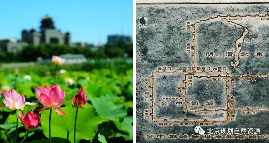 北京责任规划师招聘,丰台区责任规划师招募