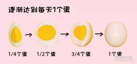 对牛奶和鸡蛋过敏的孩子怎么办,孩子对小麦鸡蛋牛奶过敏怎么治疗