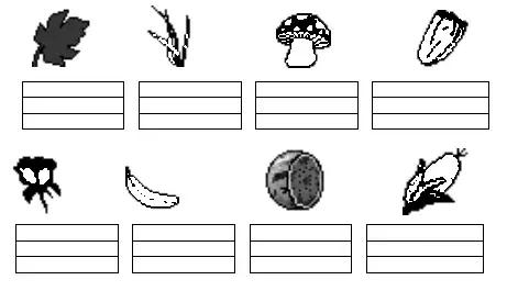 人教版小学语文阅读理解专项,小学语文阅读理解阶梯训练基础篇