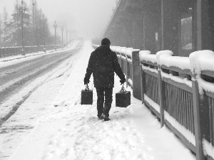 养鸟人10年后的感受,浅谈养鸟的生理与心理的护理