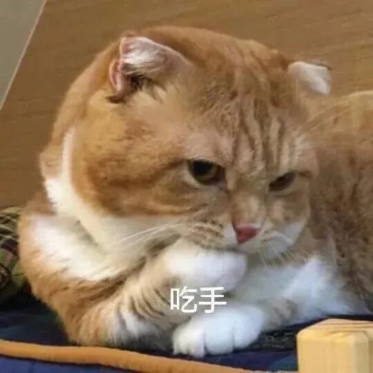 百变包包,百变包包女