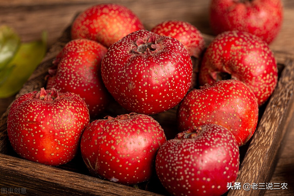 红糖在养殖牛羊方面的作用与功效,红糖养猪妙招