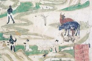 北京文博在线,北京文博直播间