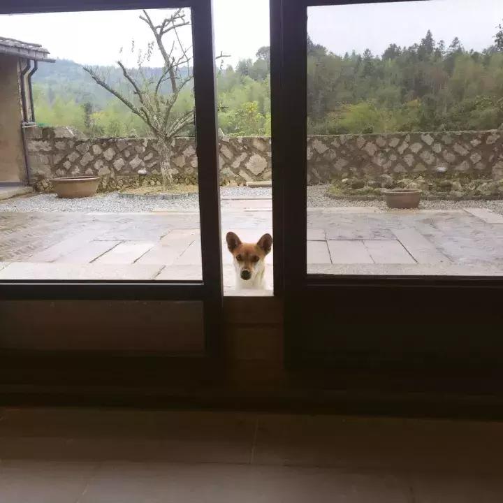 从设计师到漆艺家，他以慢对抗这世界的浮躁