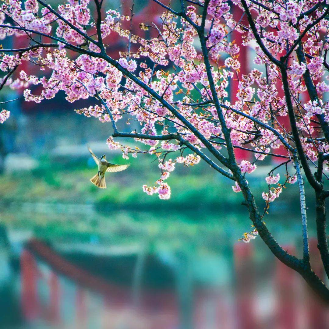 大美江苏南京市溧水区,大美溧水南京的后花园