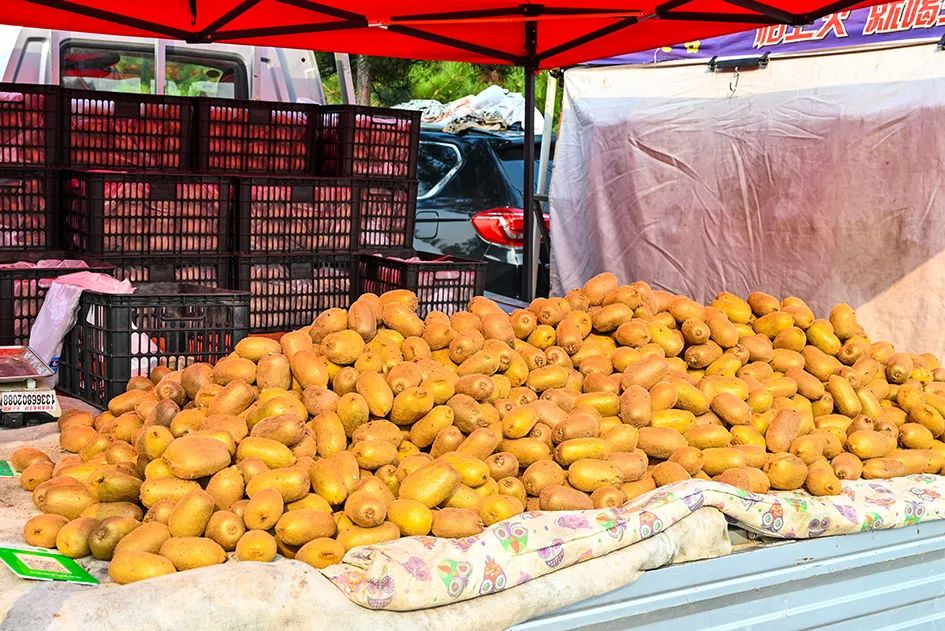 满满的烟火气逛大集真好玩,最值得逛的大集