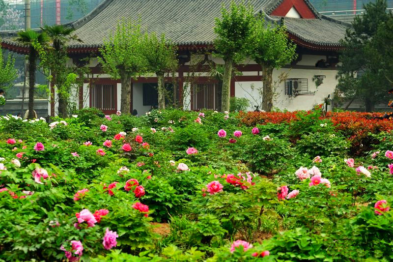 西安莲湖区20个旅游景点，3个是公园，其他17个历史底蕴丰厚