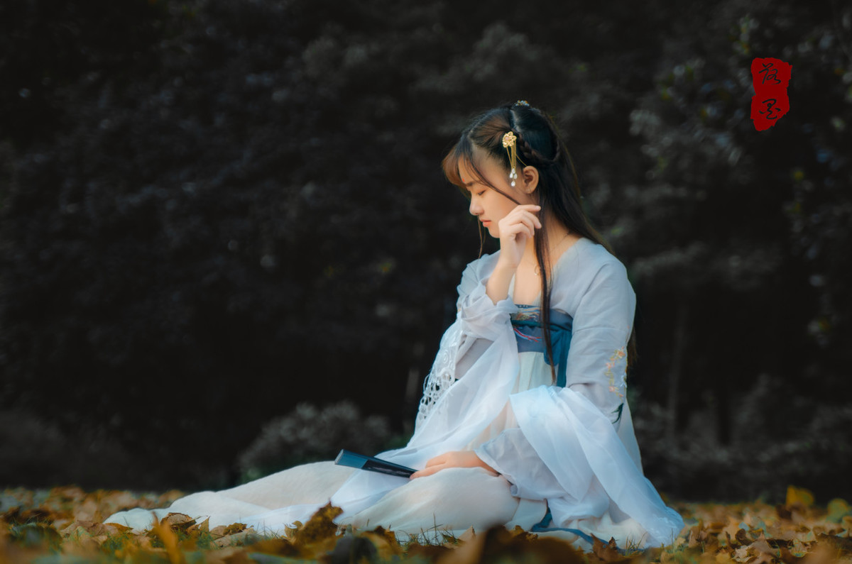 水调歌头明月几时有运用的手法,次韵水调歌头如何填词