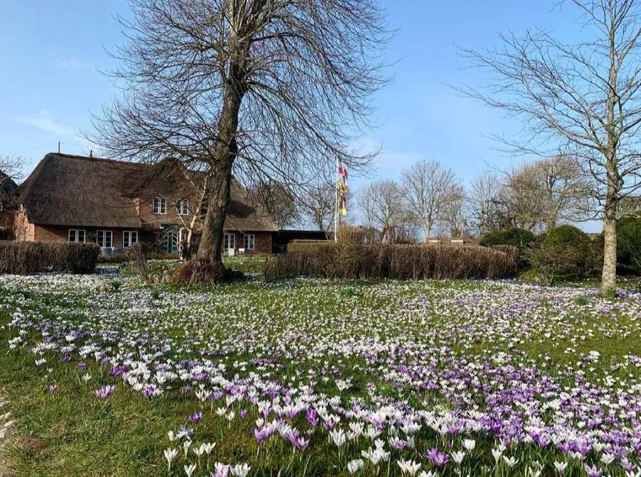去德国旅游的n条实用经验,德国旅行攻略探索旅游的新奇之处