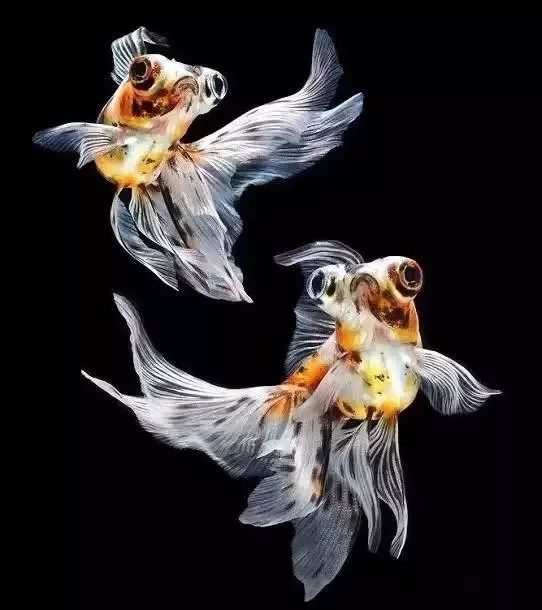 微信头像2020最火微信头像姓氏3d,卡通微信头像2020最火微信头像