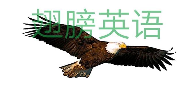 learn和study区别视频,learn与study什么意思