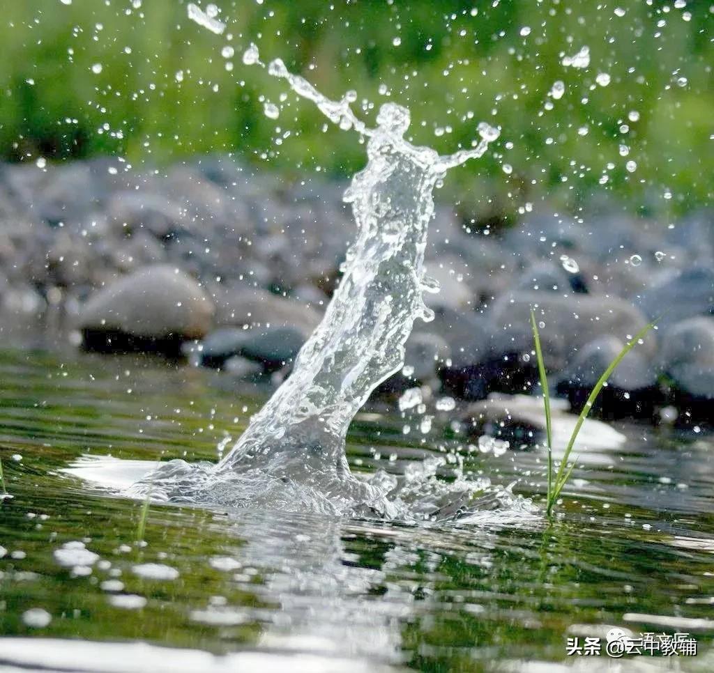古诗词大全300首小学生图文,小学生必背古诗240首