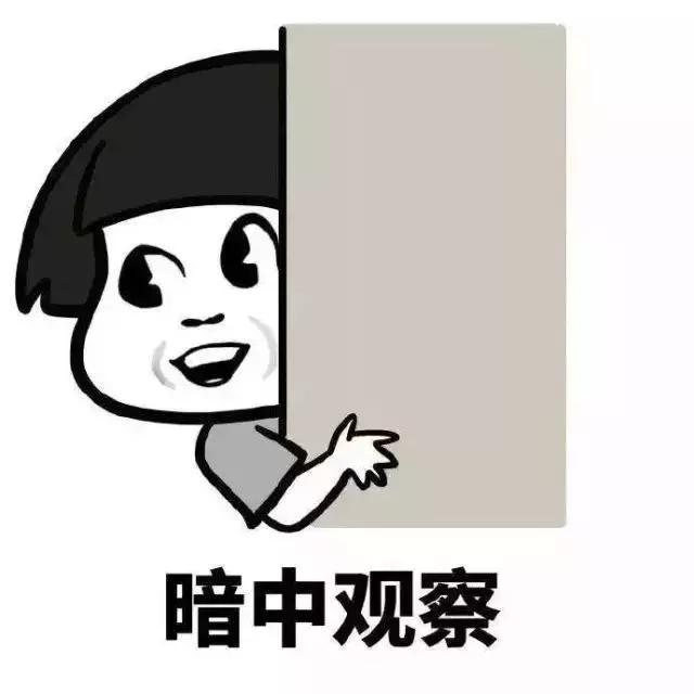 广州11个区详解,广州12个区