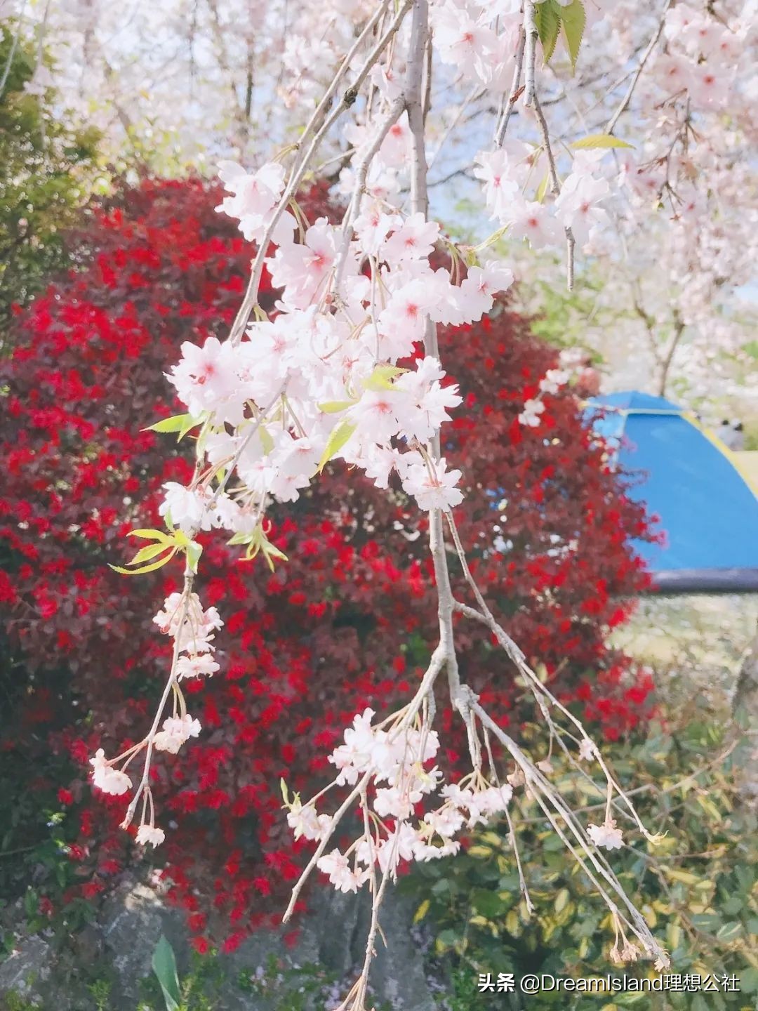 秋冬水润的粉底液,秋冬水润持妆粉底液