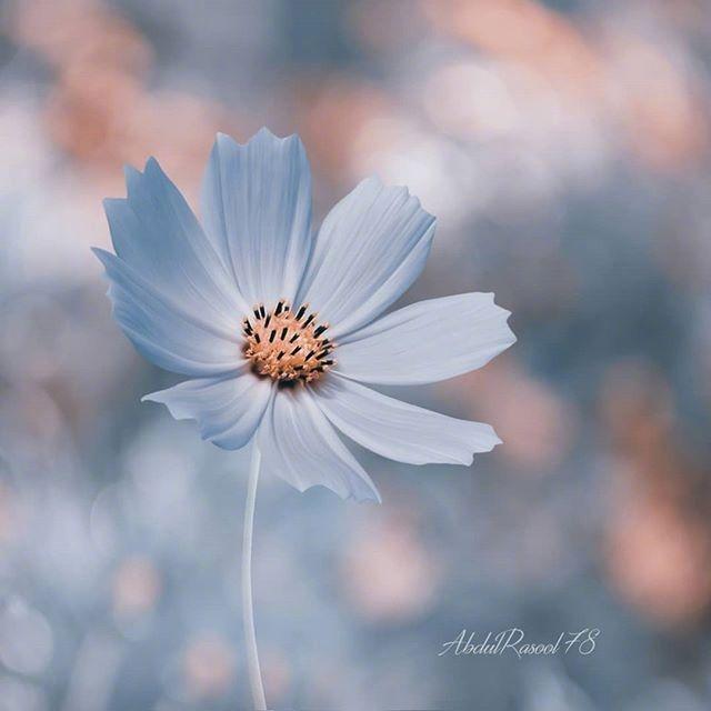 100句鼓舞人心的经典励志名言语句,十句激励人心的人生格言