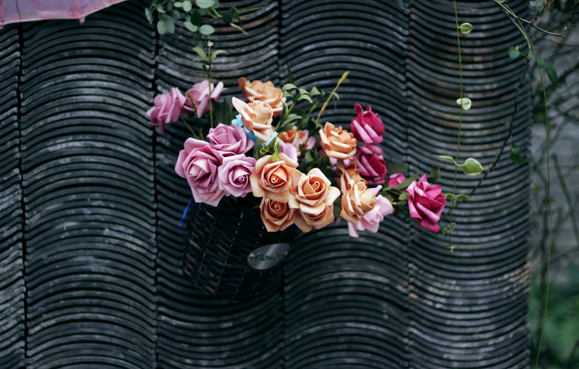 后来我才发现，我还是戒不掉你