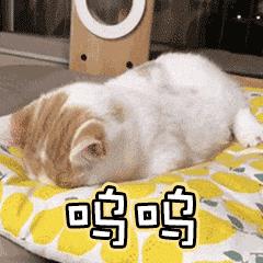 kux格式怎么转换为mp4格式,kux格式怎么免费转换成mp4