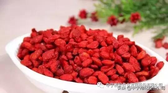 中药文化精粹,东方神草枸杞子