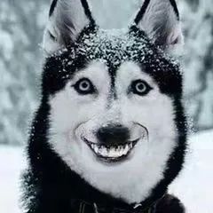 抑郁症患者带着微笑背后是黑暗,抑郁症患者假装微笑