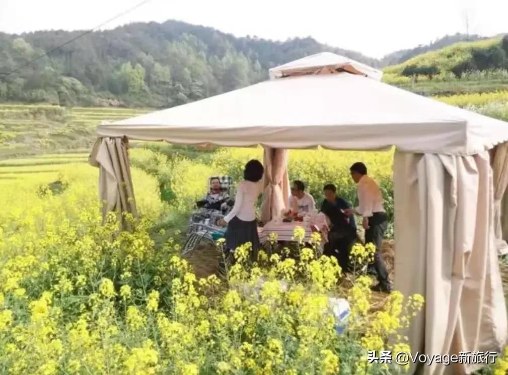 旅行民宿春天赏花,附近哪里有赏花民宿