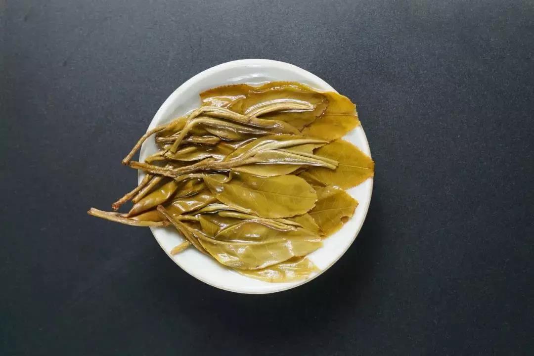 普洱茶的知识你真的了解普洱茶吗,了解普洱茶的必备知识点