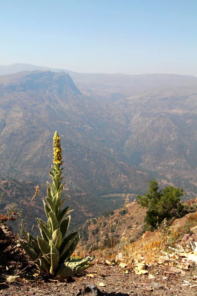 世界上最美的80个地方你到过几个,世界最美的80个地方