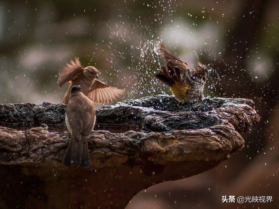 捕捉美好瞬间9秒视频,捕捉震撼的瞬间