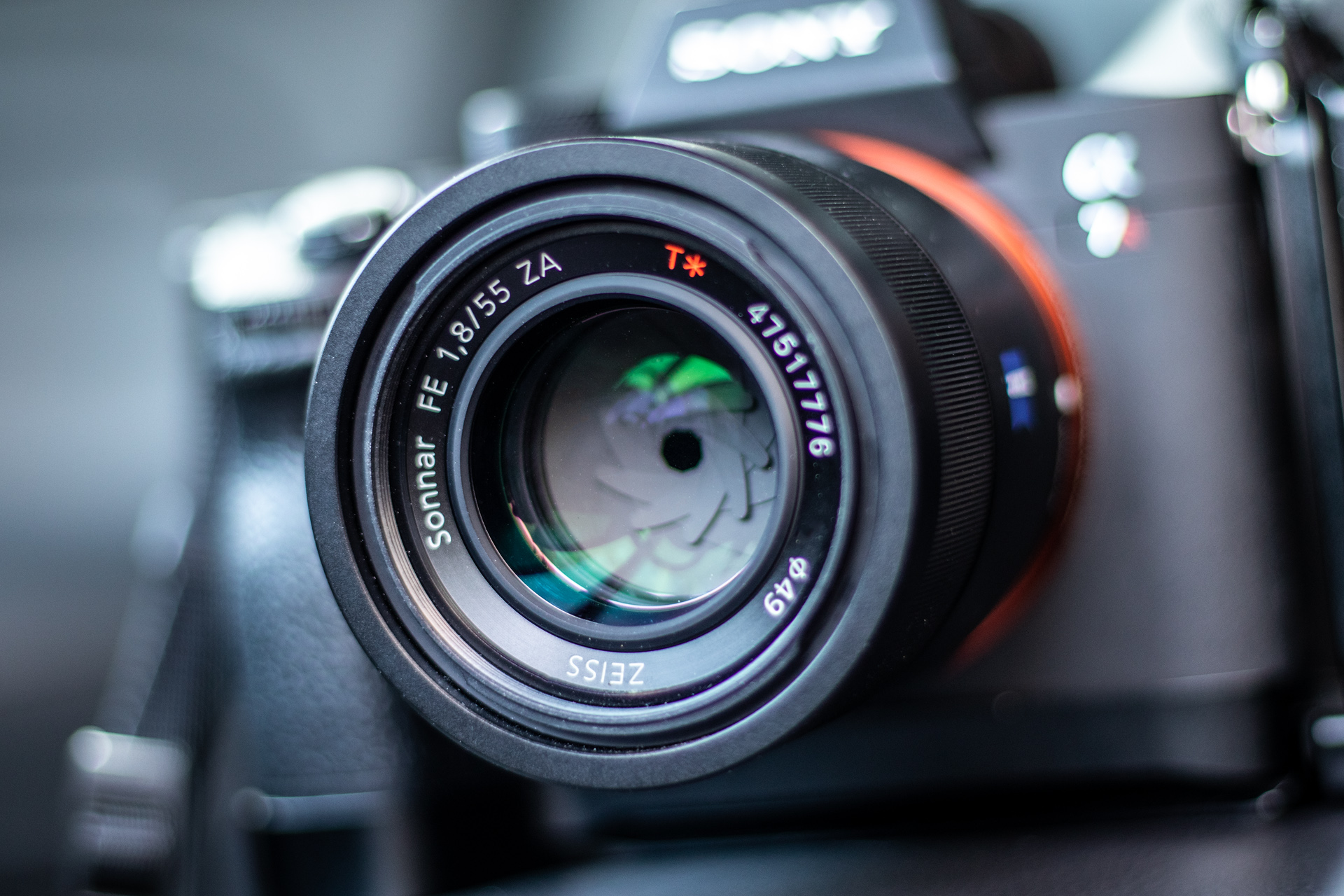 Sonnar（索纳）眼中的猫——索尼SonnarT*FE55mmF1.8ZA实拍体验