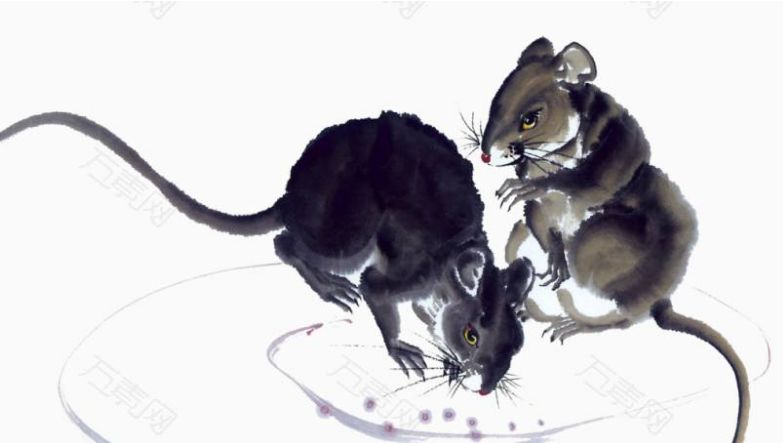 十二生肖十二首诗,一首描写十二生肖的一首古诗