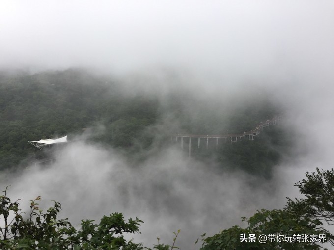 到张家界天门山自助游价格多少钱,武汉到张家界天门山三日游