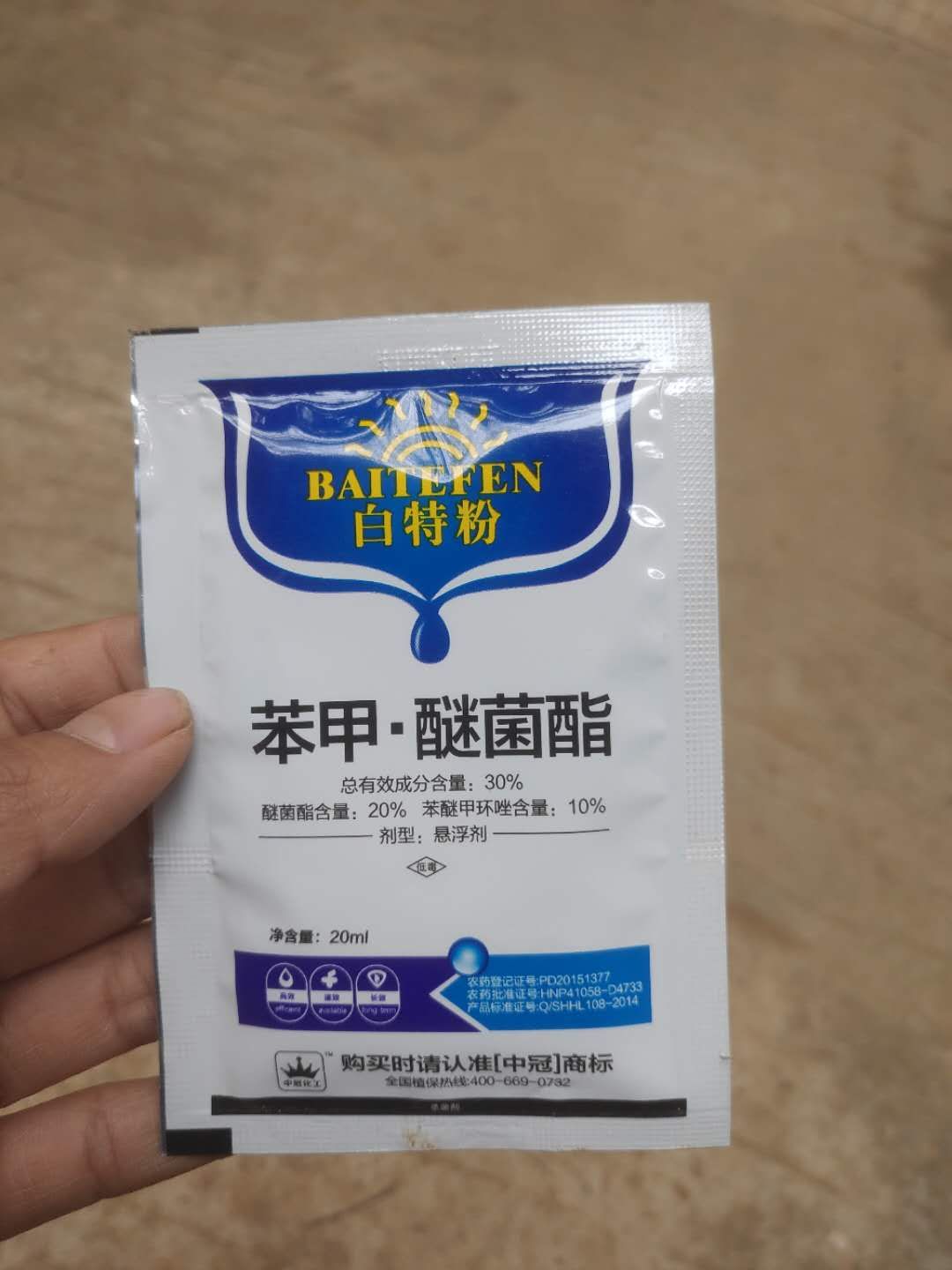 怎么种玫瑰花一年四季都有开花,玫瑰花怎么种可以一年四季都有