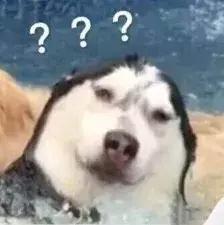 毒app怎么申请退货退款,毒app鉴定瑕疵退货流程