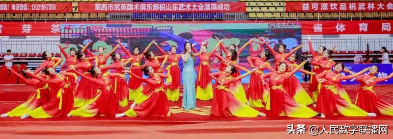 世界武术节比赛表演,世界武术大赛开幕式