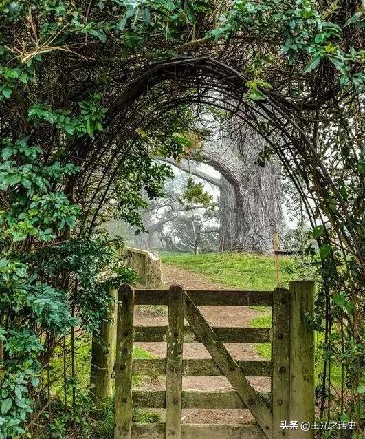 新西兰那么落后为什么是发达国家,新西兰历史上最强的国家