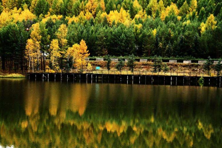 天津滨海新区亲子游玩好去处,天津五一亲子一日游