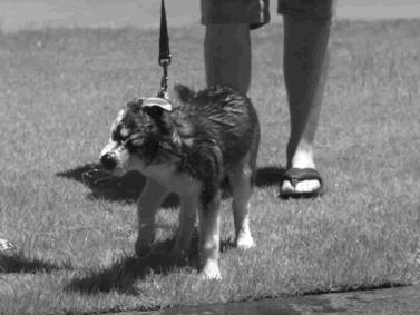 孩子膀胱容量130,儿童最大膀胱容量197正常吗