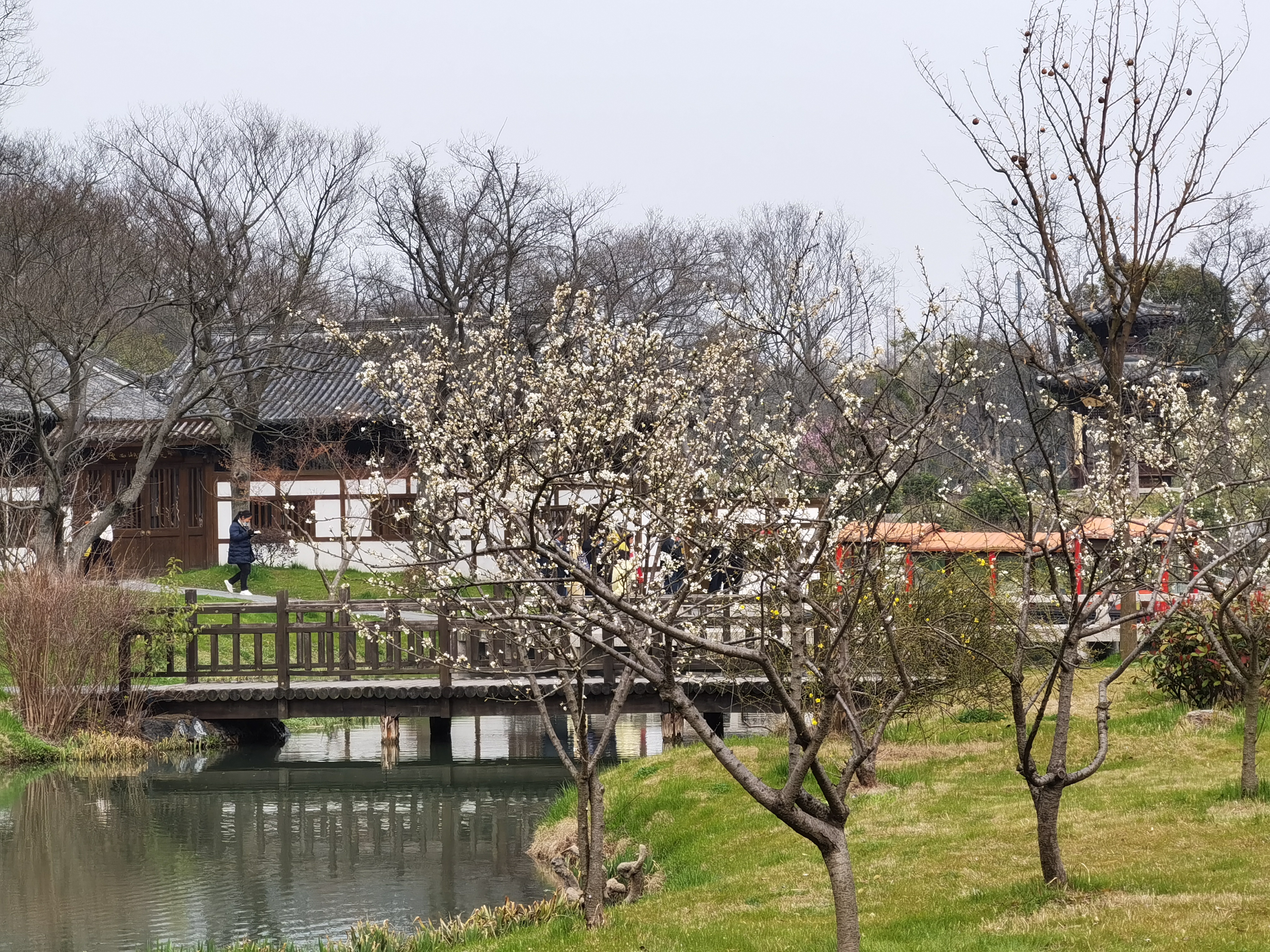 三月的瘦西湖到底有多美,瘦西湖景色到底有多美