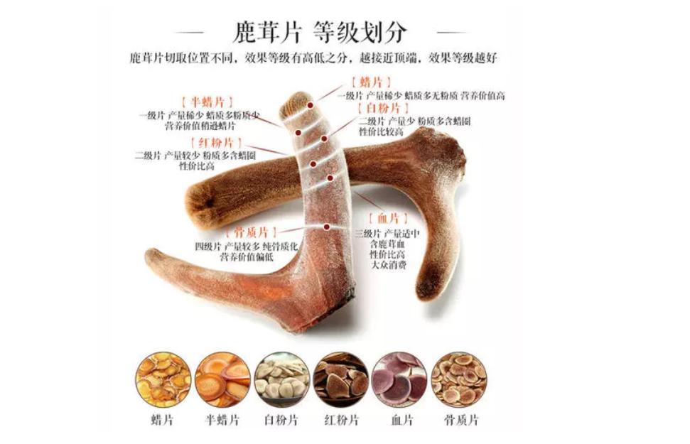 东北有三宝人参鹿茸还有什么,东北鹿茸哪种最好