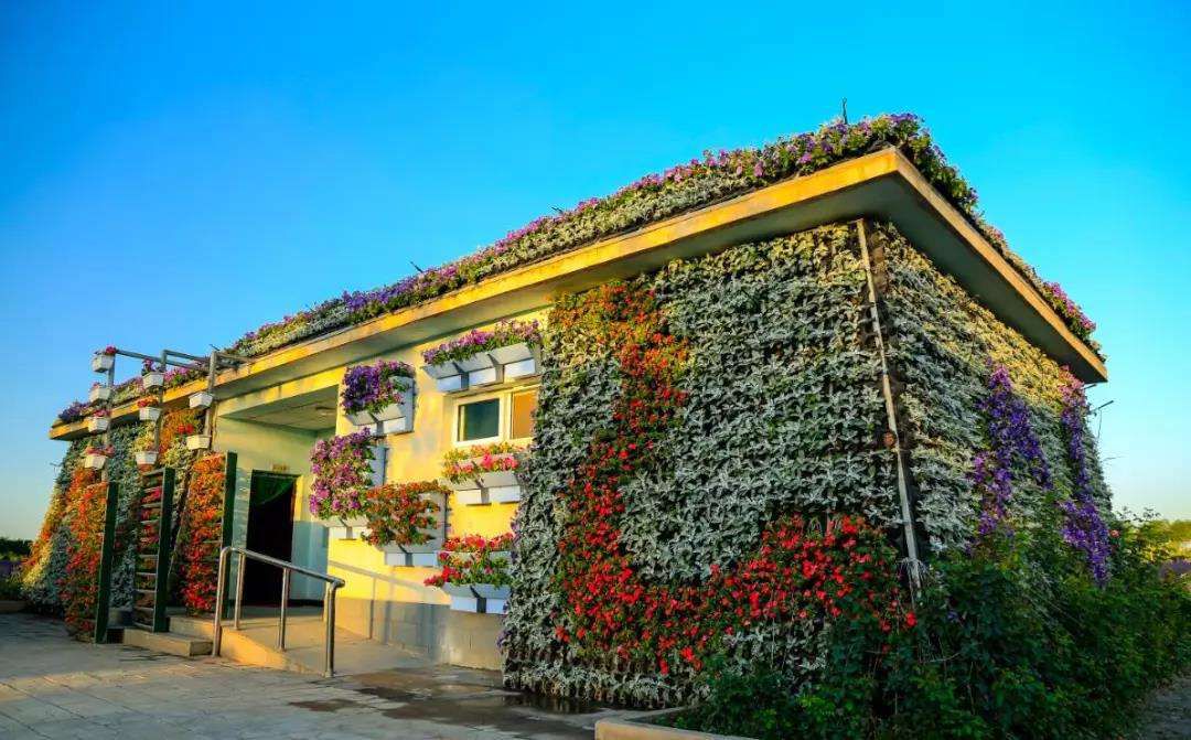 农业创业机会可能体现在哪些方面,农业创业机会