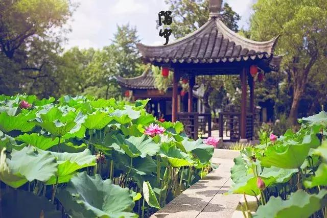 读懂十二时辰就读懂了我们的一生,读懂十二时辰就懂了中国人的一天