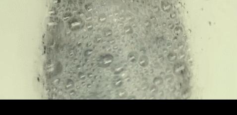 绑架，勒索，拿赎金；可我没猜到结局：图解欧美电影