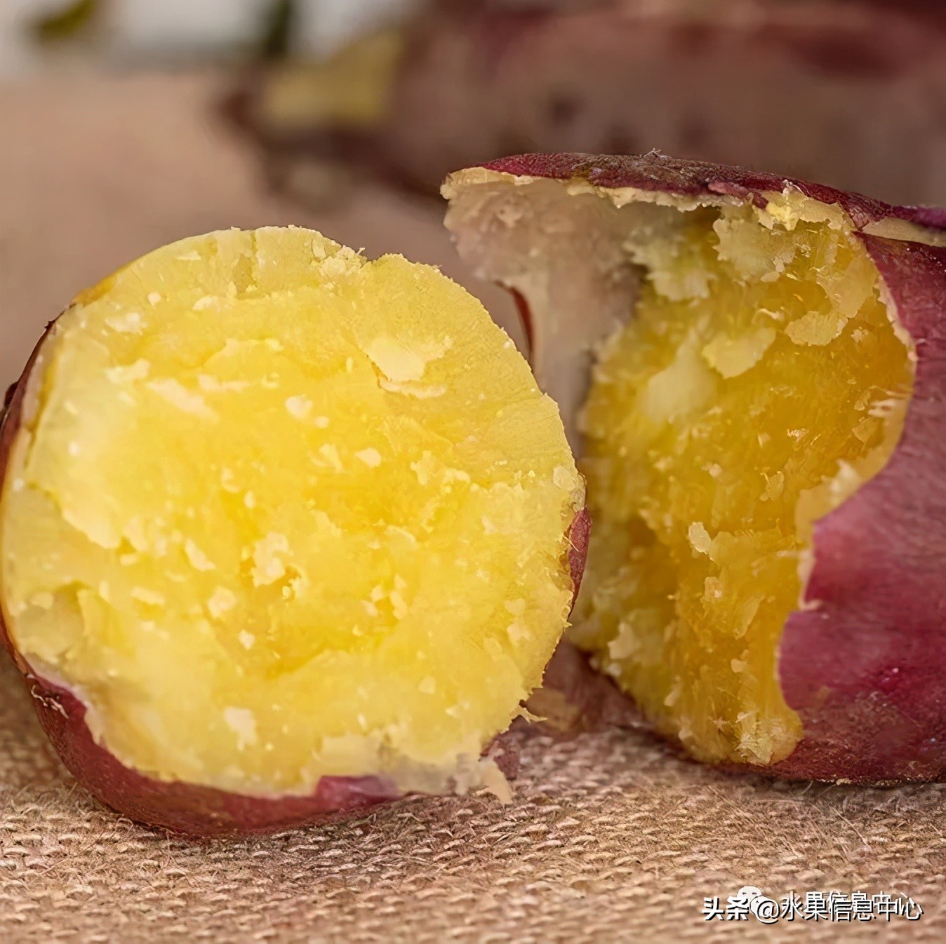 海南水果都有哪些品种图片及名称,海南水果上市时间表赶快收藏吧