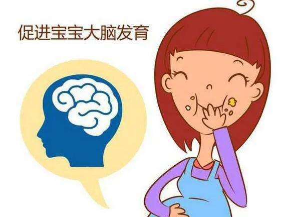 小学生吃dha好处,dha藻油粉的好处