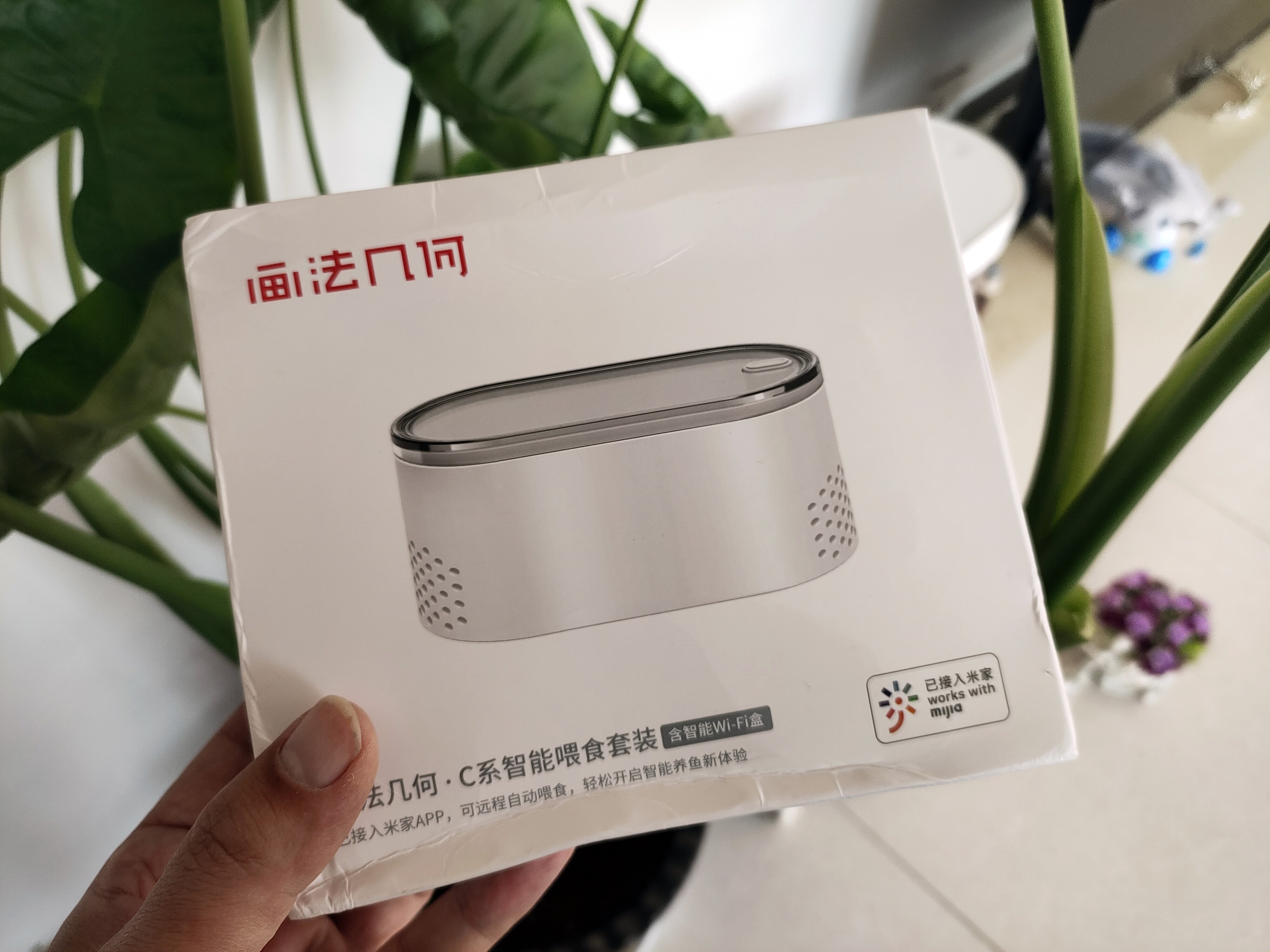 鱼缸养鱼教程图解大全,鱼缸养鱼教程入门图片