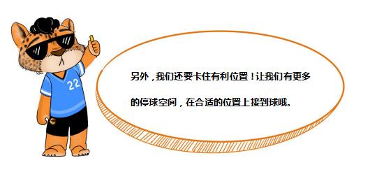 阿豹教学视频完整版,阿豹小课堂