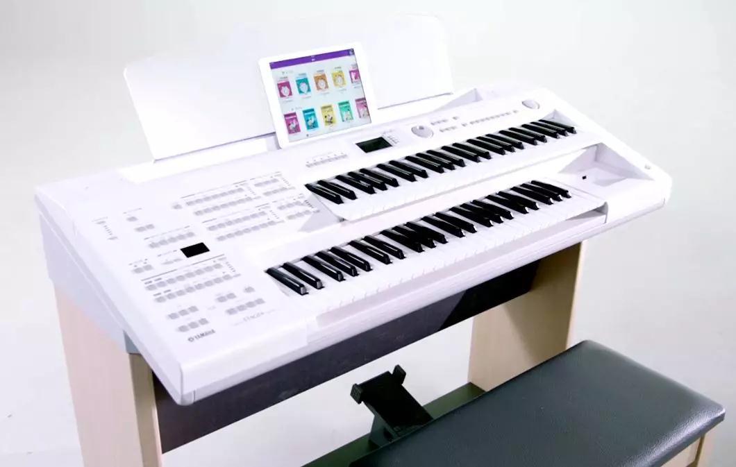 双排键演奏教学,成都双排键弹奏