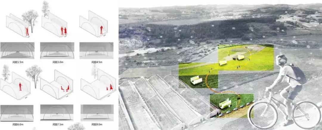 获奖作品广场舞大赛,莲花山杯全国摄影大赛