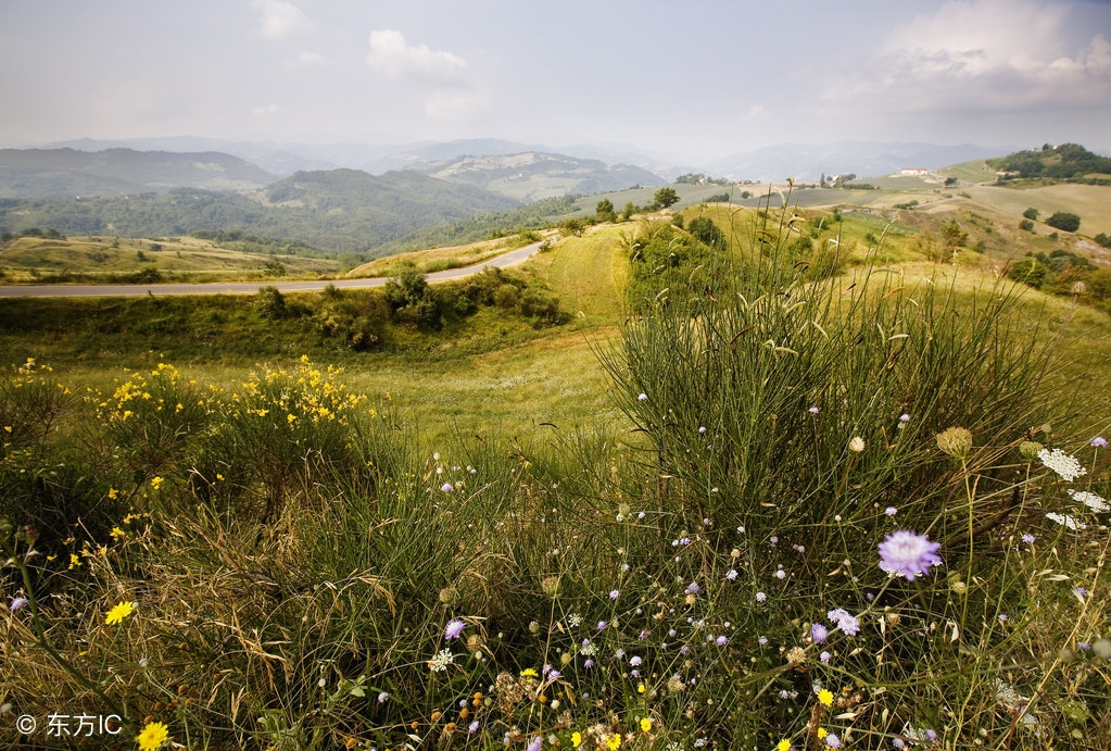 20个著名效应讲解,最著名的54个效应你知道几个